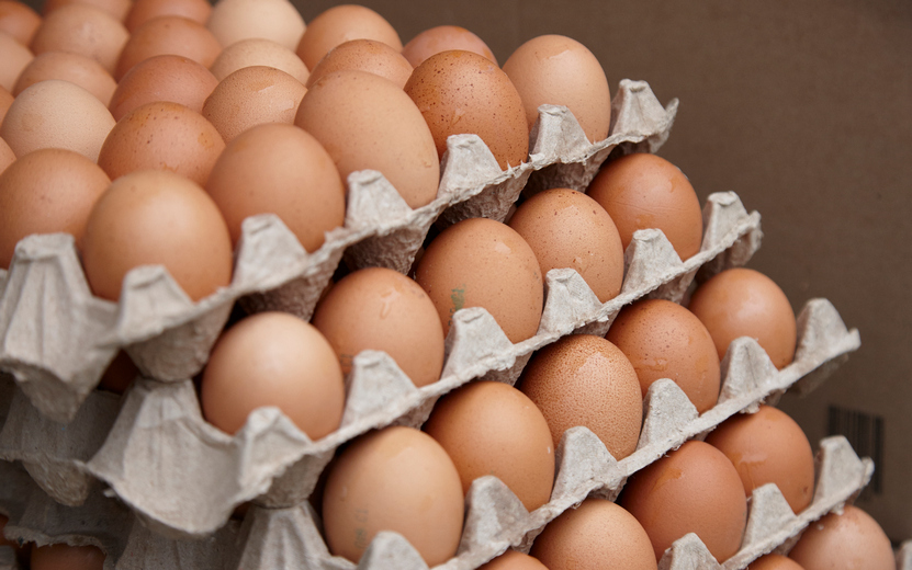 Более миллиарда куриных яиц произвели в Удмуртии за год