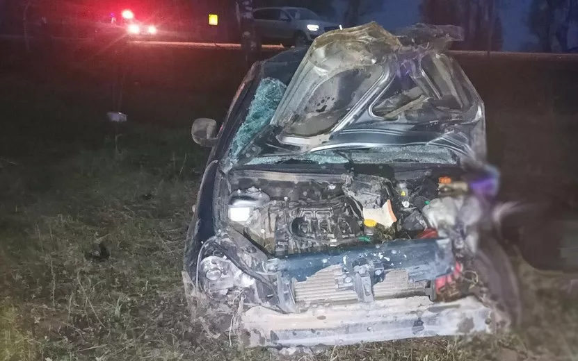 Водитель «Приоры» погиб в столкновении с лосем в Удмуртии