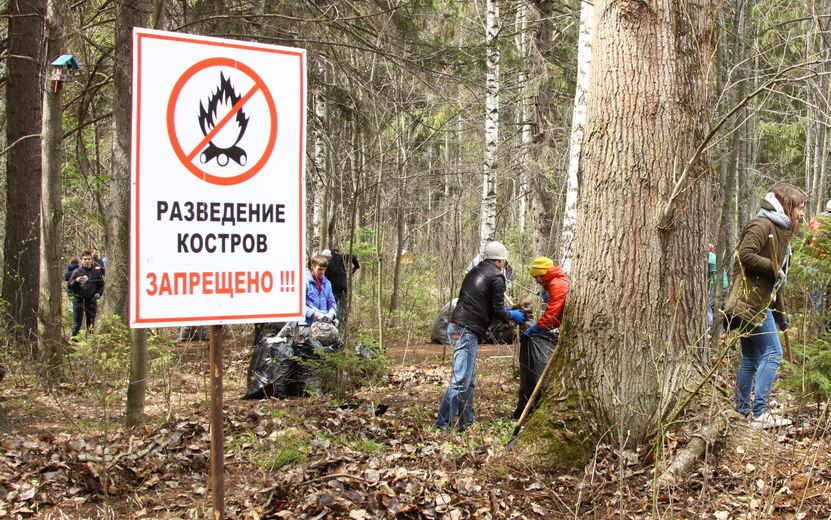 Костры запретят разводить в лесах Ижевска