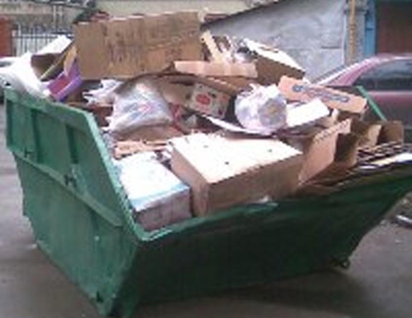 В частном секторе Ижевска появятся «перехватывающие» площадки для сбора мусора