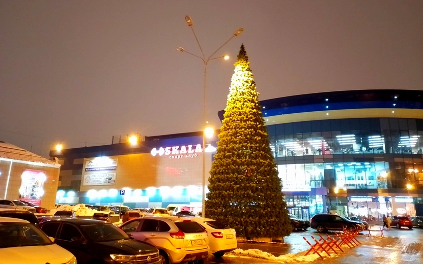 Фотофакт: новогодние елки начали устанавливать в Ижевске