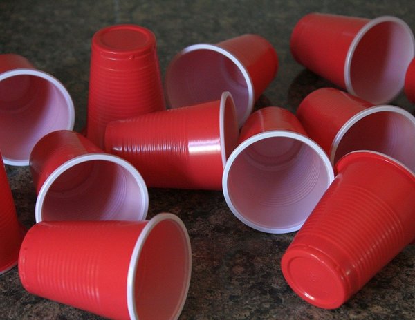 Молодежный парламент Удмуртии предложил ограничить продажу пластиковых пакетов и посуды