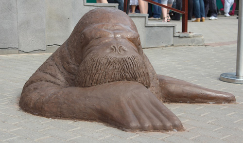 Скульптуры моржей появились в Зоопарке Удмуртии. Фото автора