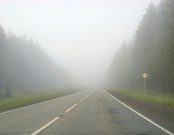 5 завораживающих фото утреннего тумана в республике