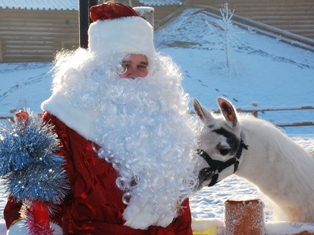 Дед Мороз в зоопарке Ижевска