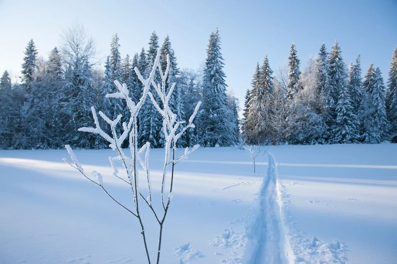 Аномальные морозы в Удмуртии сохранятся до 12 января