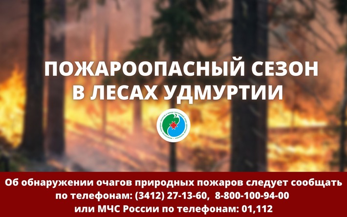 В лесах Удмуртии объявлен пожароопасный сезон