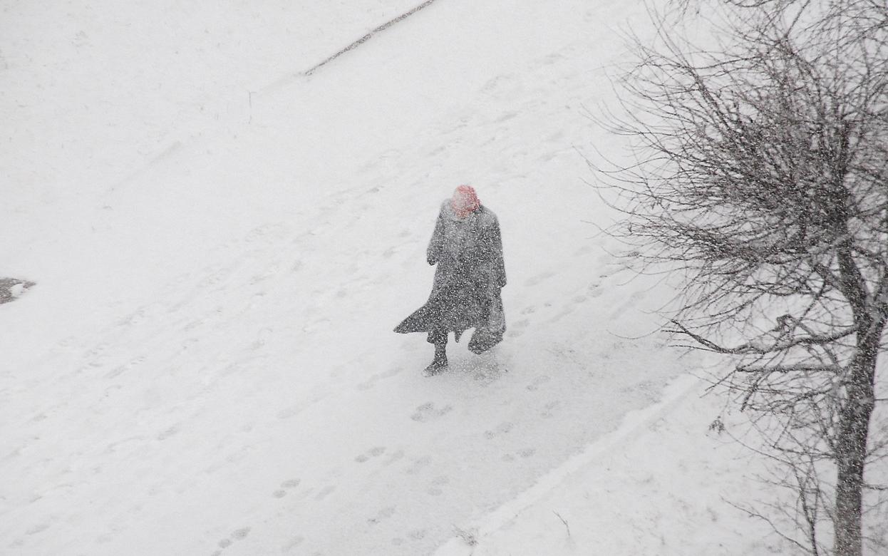 Месячная норма осадков выпала за 5 дней в Ижевске