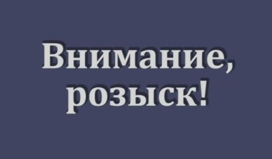 пресс-служба МВД по Удмуртии, nk-tv.com
