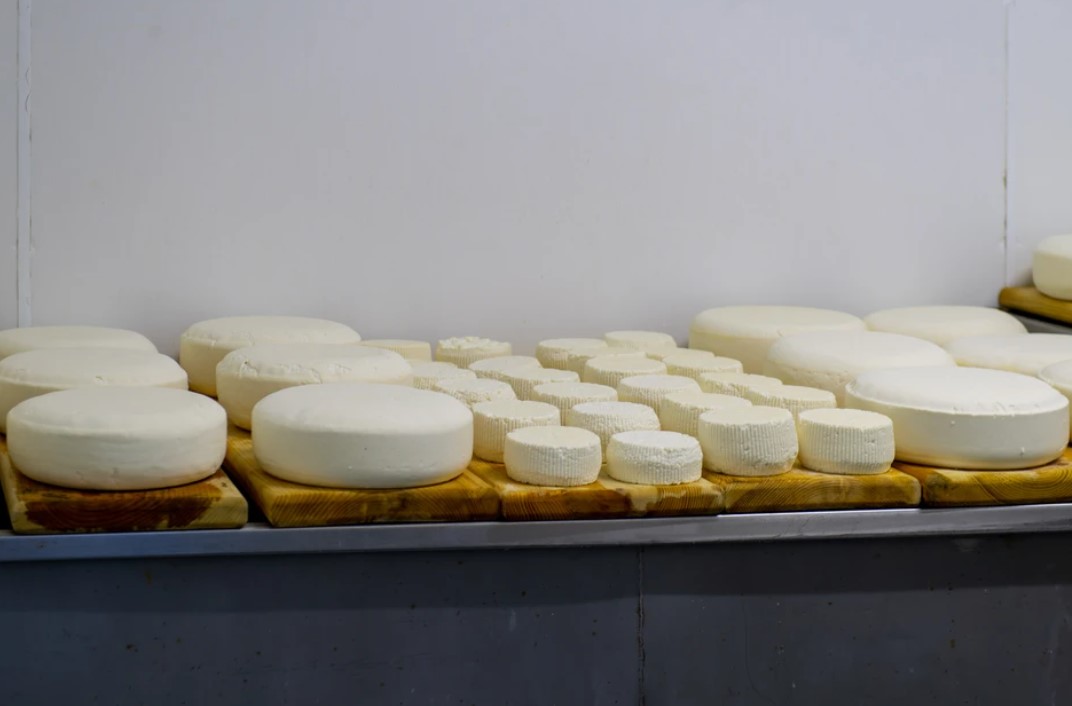 Почти 13 тысяч тонн сыров и творога произвели в Удмуртии в начале 2024 года