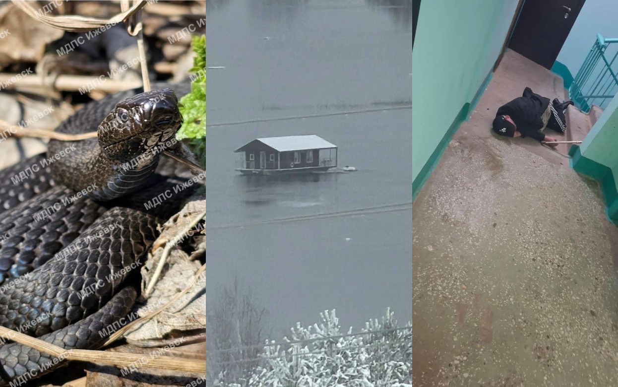 Проснувшиеся змеи, плавучая баня и наркопритон в подъезде: что обсуждают ижевчане в соцсетях 14 апреля