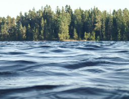 12-летний ижевчанин утонул в реке Везлома в Нижегородской области
