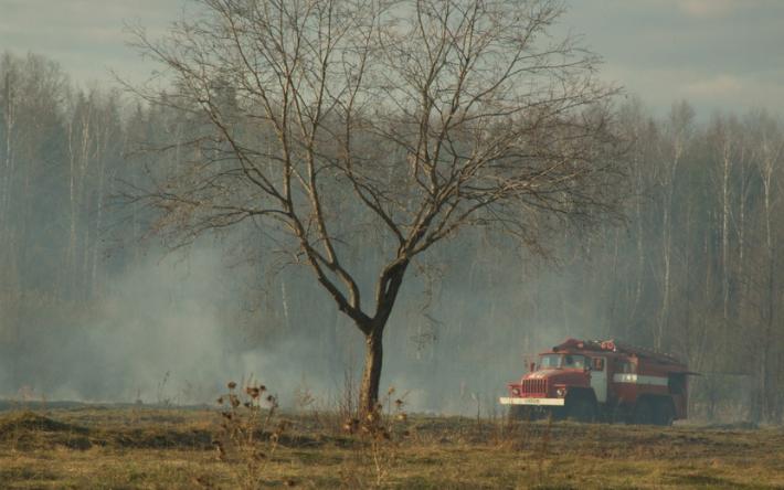 14 лесных пожаров потушили в Удмуртии