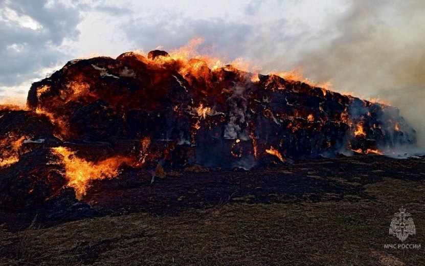 Первоклассники сожгли 600 рулонов соломы под Ижевском