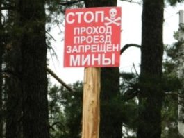 Сейчас в лесах вокруг Пугачево установили предупредительные знаки и в некоторых местах оградили колючей проволокой.  Фото Н. Имполитовой