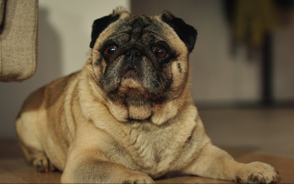 К себе нежно 5 (1).jpg