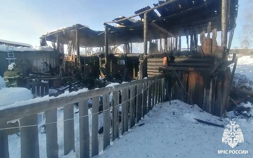 Фото: пресс-служба ГУ МЧС по Удмуртии