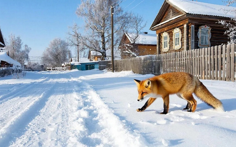 Фото: нейросеть