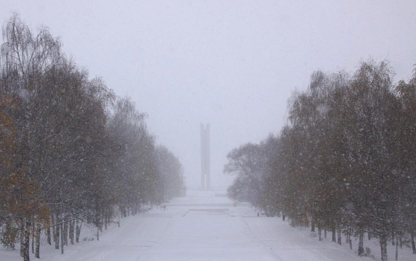 Фото: Сергей Грачев