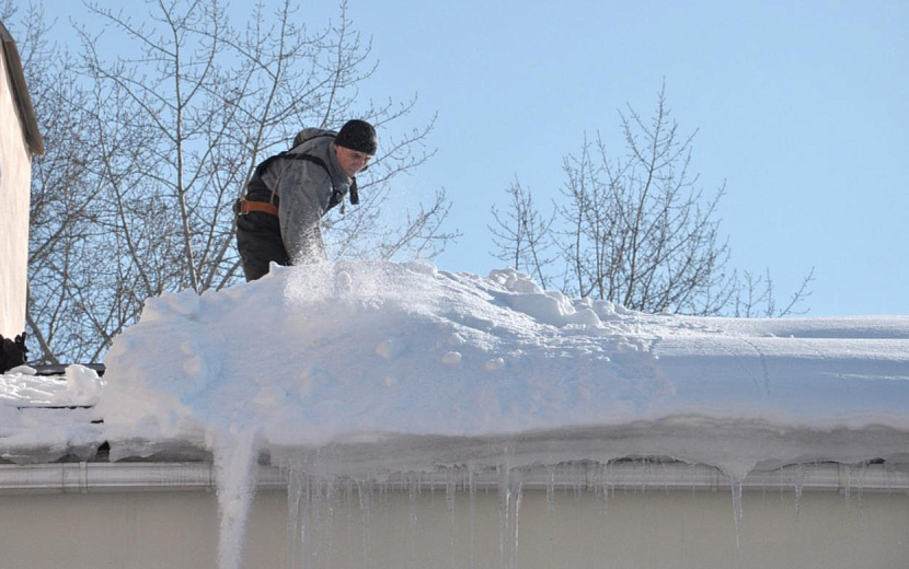 Фото: Константин Ившин (архив)