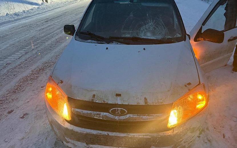 Фото: Госавтоинспекция Удмуртии