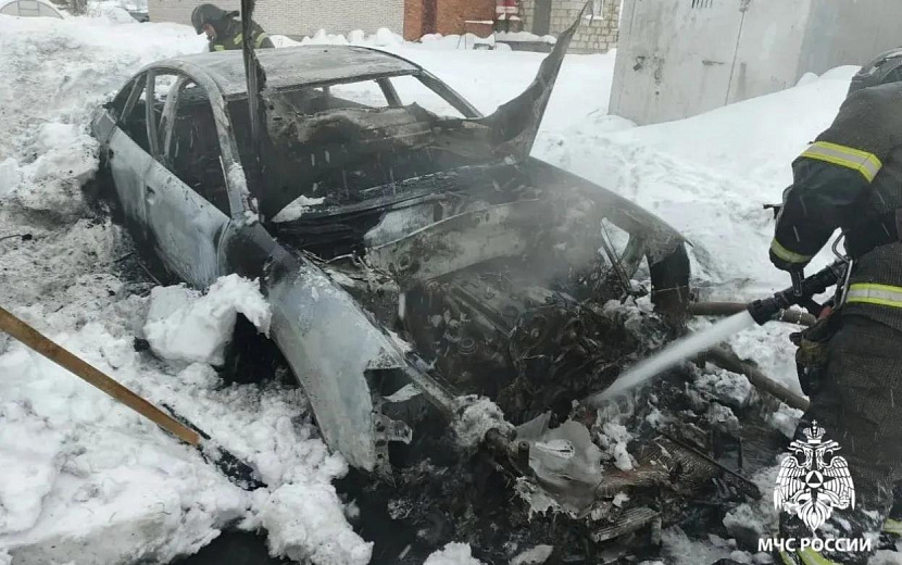 Фото: пресс-служба ГУ МЧС по Удмуртии