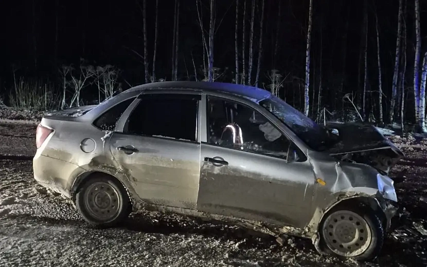 Фото: Госавтоинспекция Удмуртии