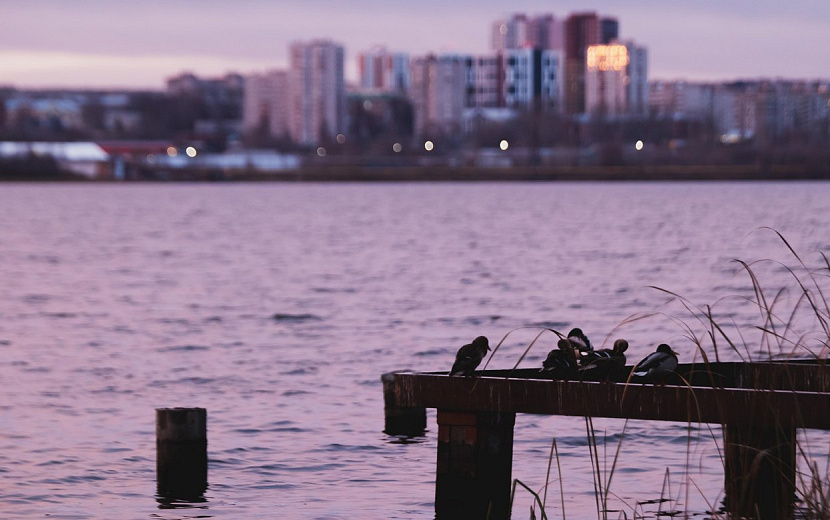 Фото: Данил Иванов