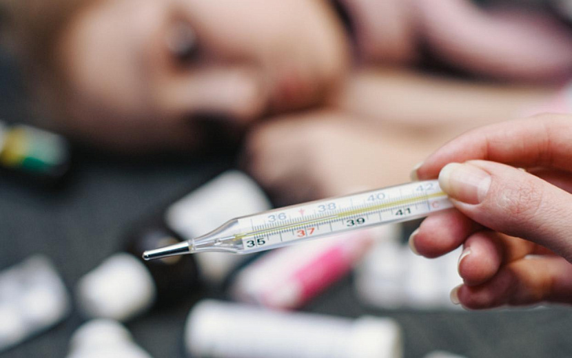 Фото: Сергей Грачев 