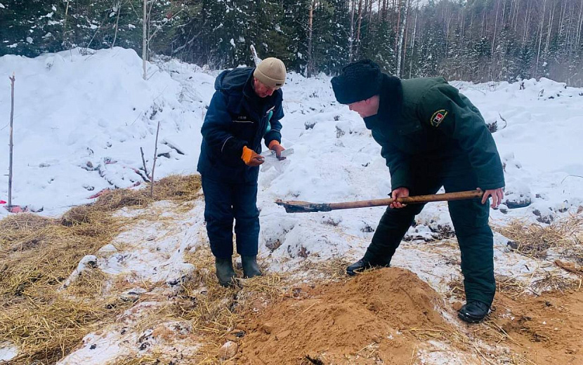 Фото: Минприроды Удмуртии