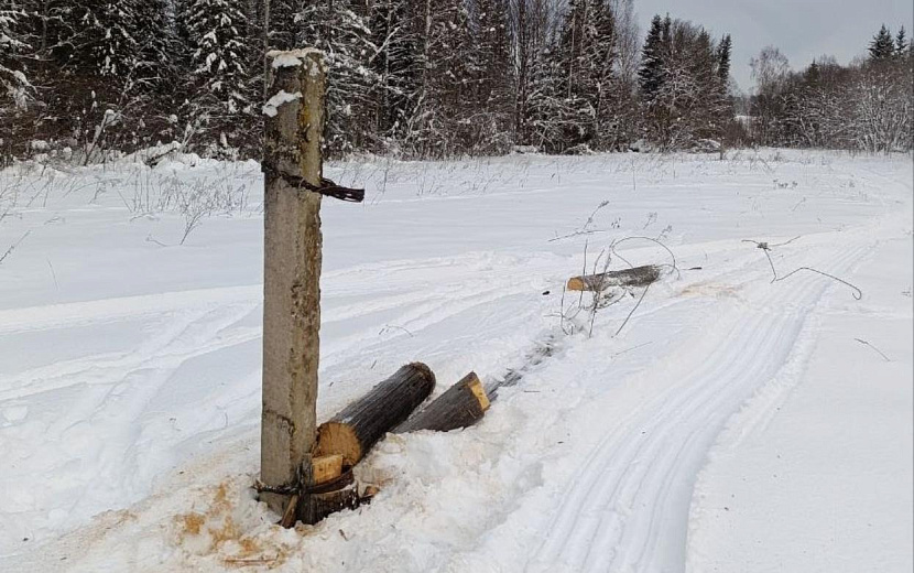 Фото: пресс-служба МВД по Удмуртии