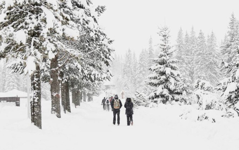 Фото: freepik.com