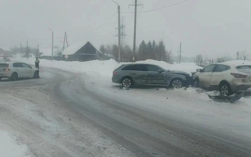 Фото: Госавтоинспекция Удмуртии
