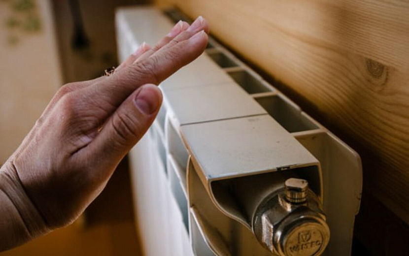 Фото: Диля Ахмадишина