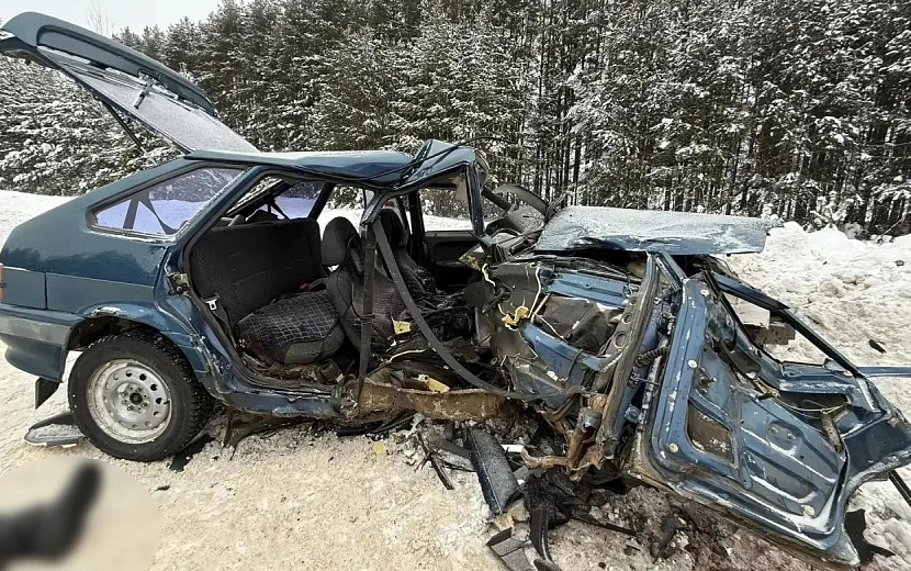 Фото: Госавтоинспекция Удмуртии