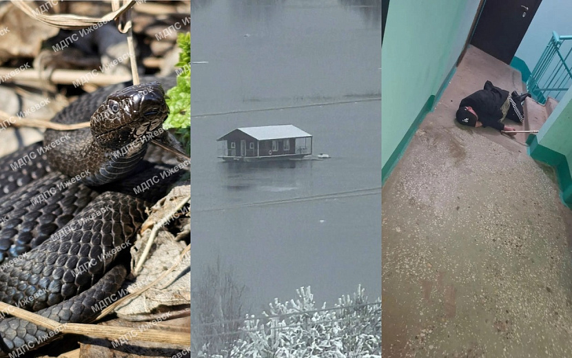 Фото: местные группы