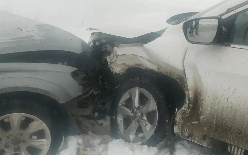 Фото: Госавтоинспекция Удмуртии