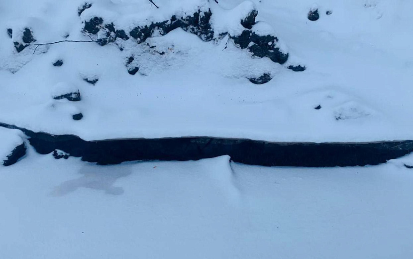 Фото: Минприроды Удмуртии