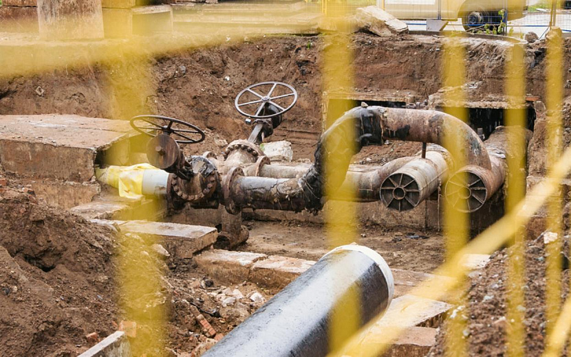 Фото: Сергей Грачев