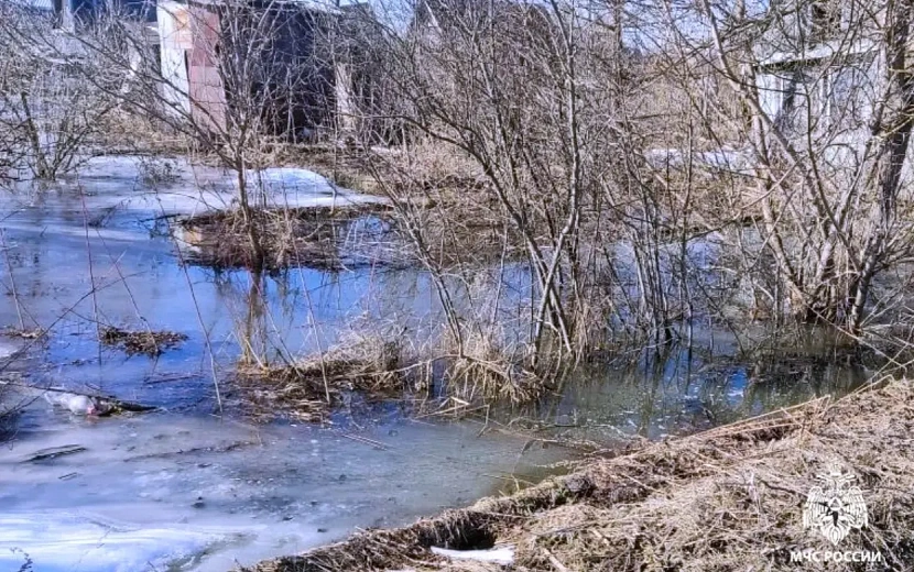 Фото: пресс-служба ГУ МЧС по Удмуртии