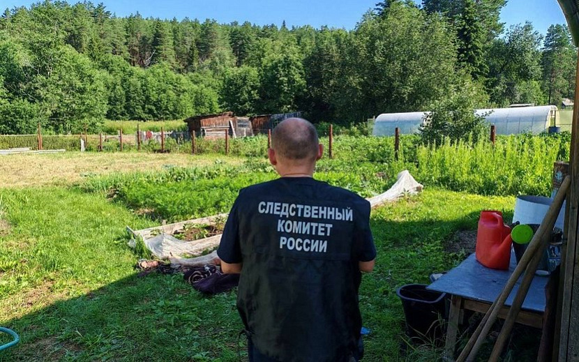 Фото: Объединенная пресс-служба судов Удмуртии