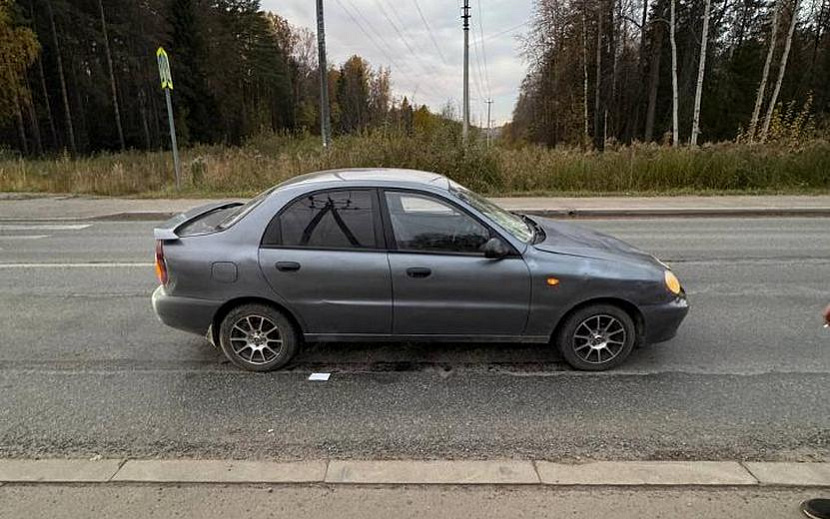 Фото: Госавтоинспекция Удмуртии