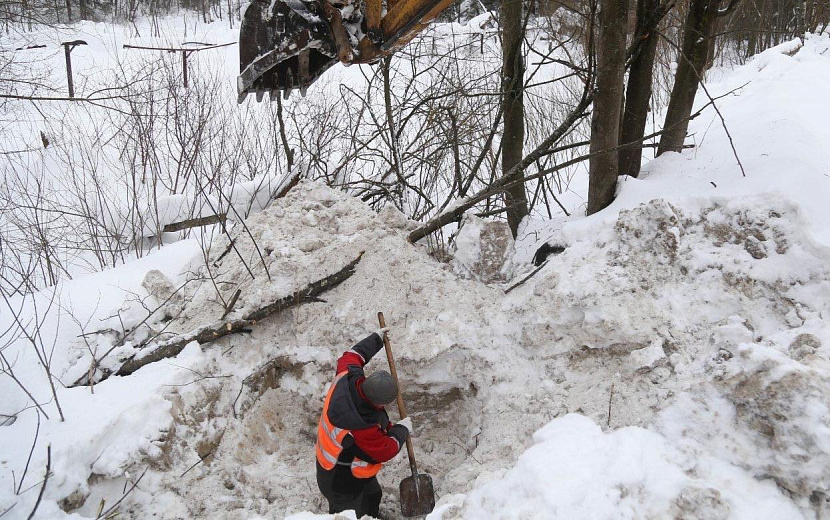 Фото: Дмитрий Чистяков