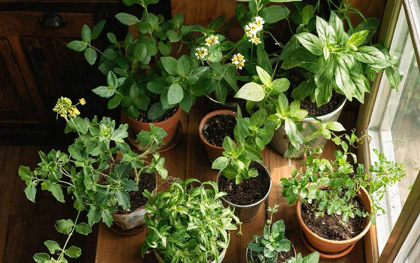 Фото: нейросеть