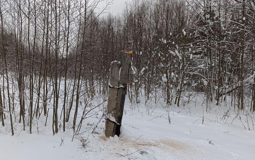 Фото: пресс-служба МВД по Удмуртии