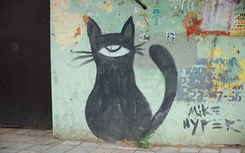 Жутковатый котик на ул. Красной, 156 – во дворах в самом центре города