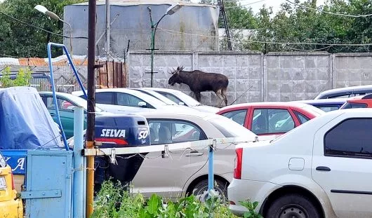 архив редакции