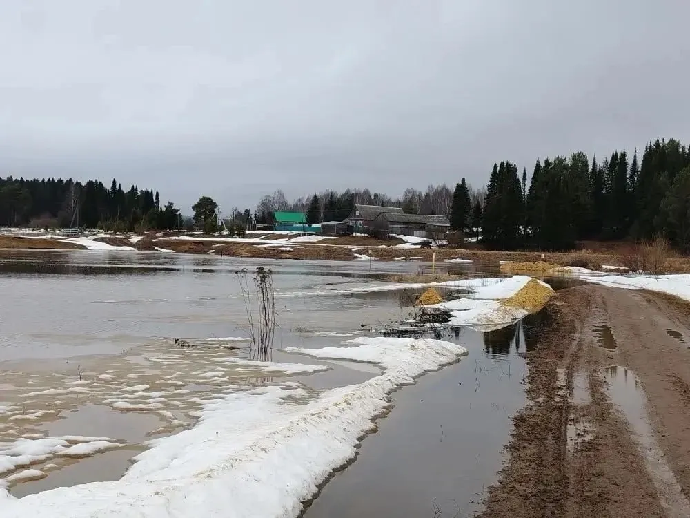 Главные новости Ижевска на 7 апреля: рост средней зарплаты на 15% и закрытие «Березовой рощи» 