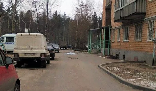 Елены Ворончихиной