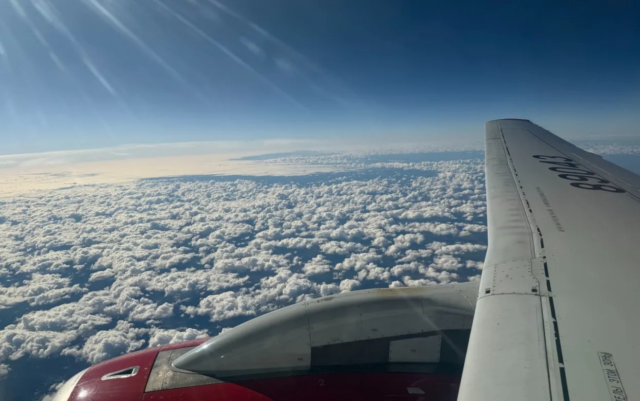 Жители Удмуртии на новогодние праздники стали чаще летать в Африку